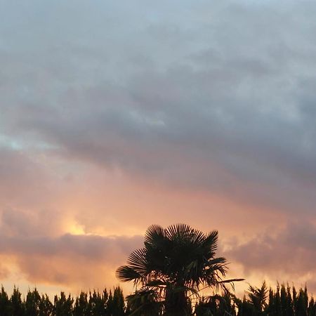 Lagalerne Bed and Breakfast Neuville-du-Poitou Εξωτερικό φωτογραφία