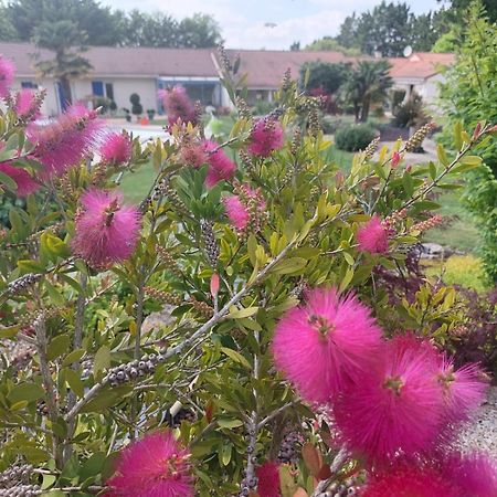 Lagalerne Bed and Breakfast Neuville-du-Poitou Εξωτερικό φωτογραφία