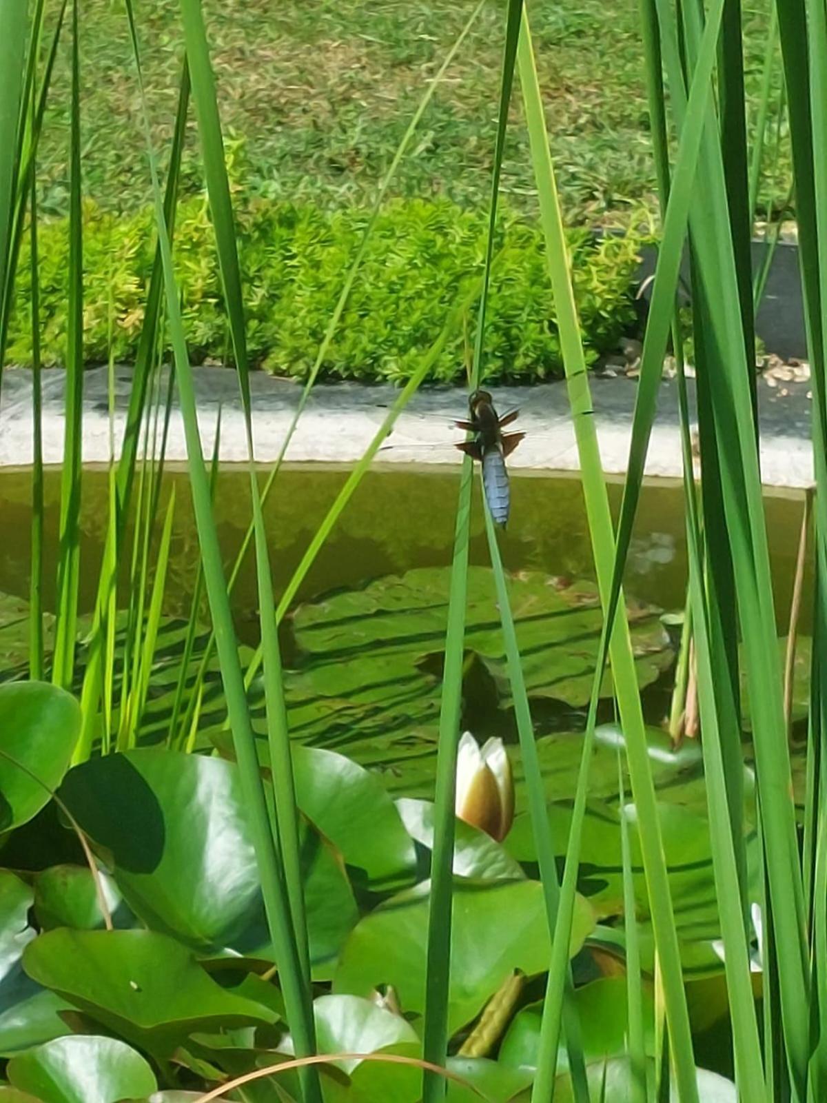 Lagalerne Bed and Breakfast Neuville-du-Poitou Εξωτερικό φωτογραφία