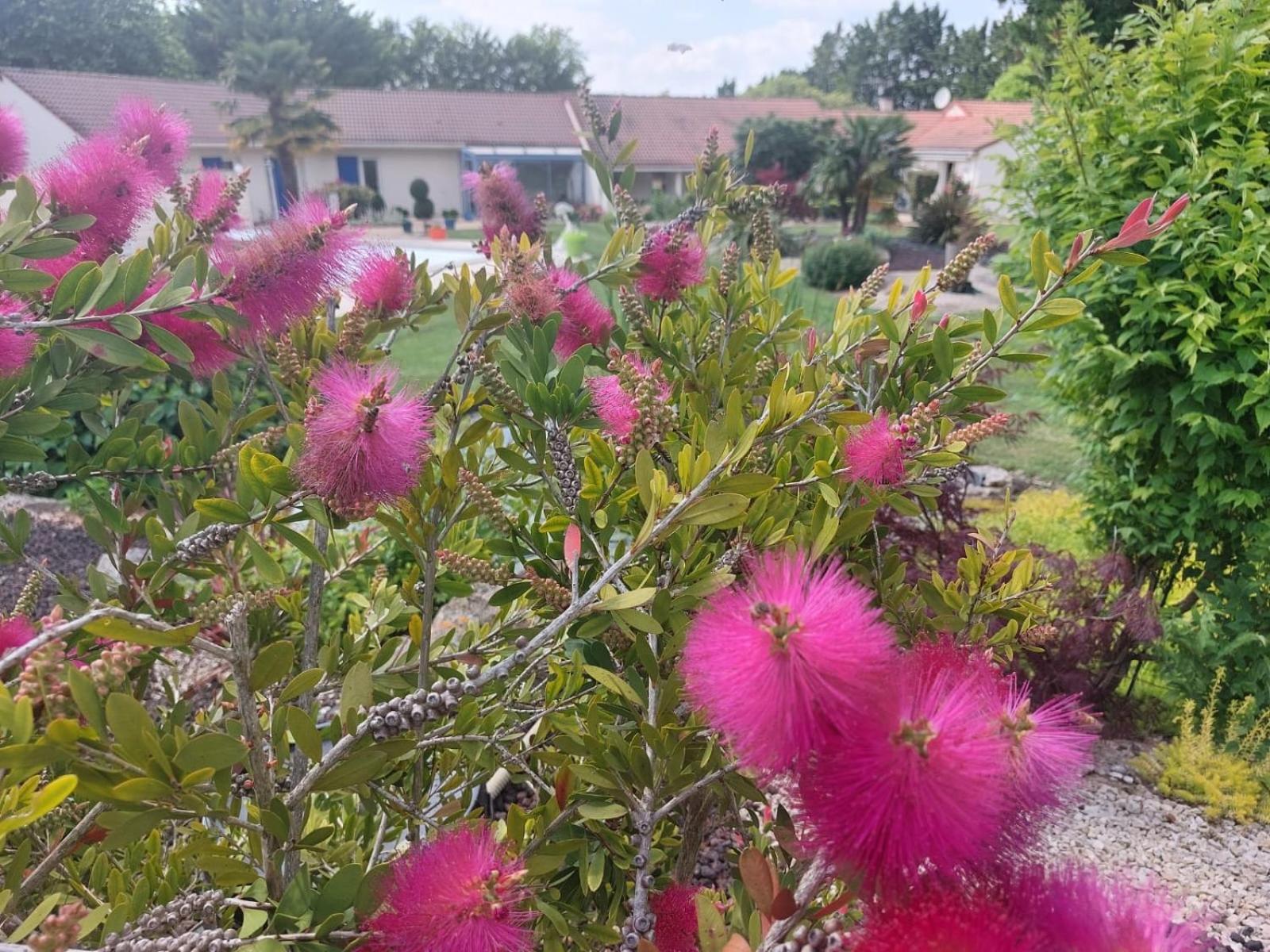 Lagalerne Bed and Breakfast Neuville-du-Poitou Εξωτερικό φωτογραφία