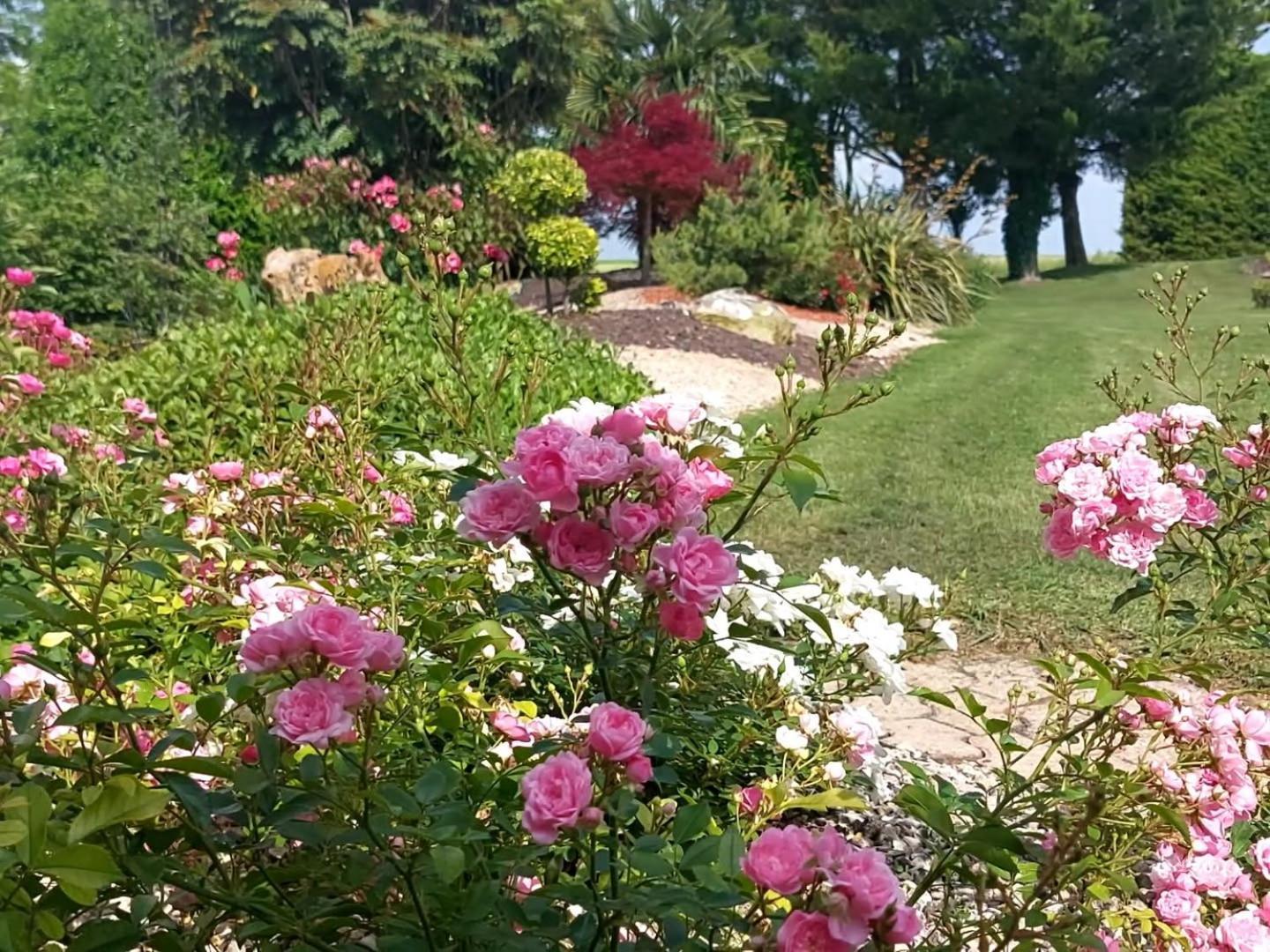 Lagalerne Bed and Breakfast Neuville-du-Poitou Εξωτερικό φωτογραφία